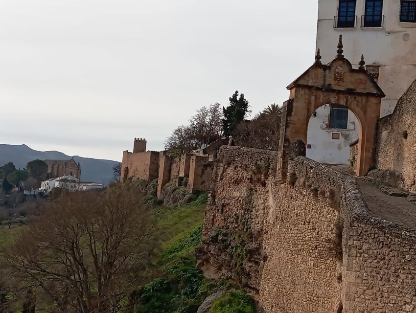 From Seville: Ronda+Setenil de las Bodegas Day Trip - The coach ride through Andalusian countryside