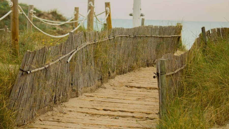 From Valencia: Albufera Day Trip with Boat Tour and Transfer - Why Albufera makes a good break from Valencia