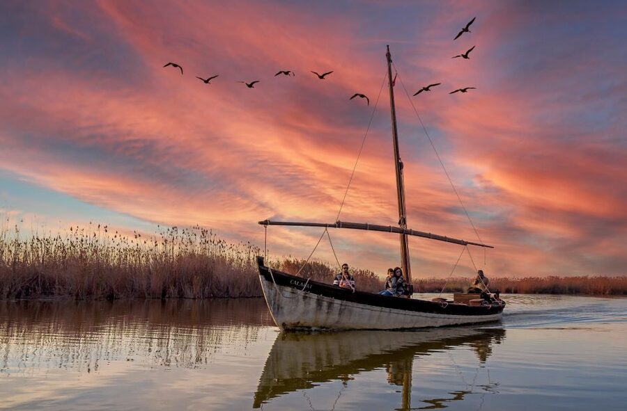From Valencia: Albufera Day Trip with Boat Tour and Transfer - El Saler dunes and the Mediterranean edge
