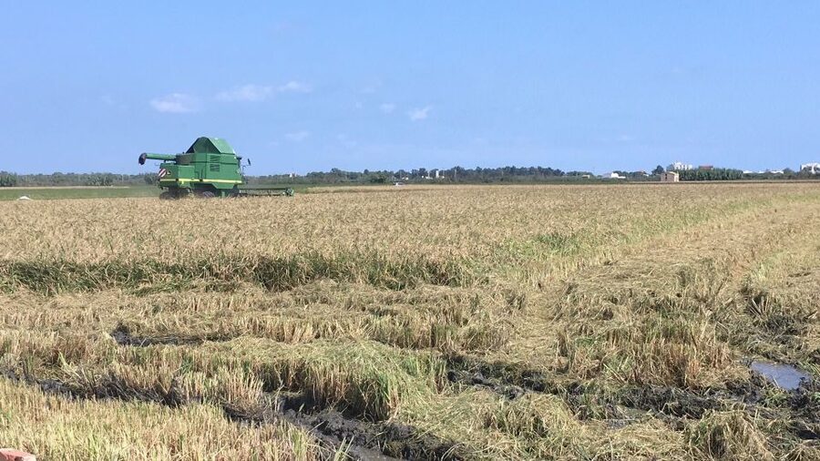 From Valencia: Albufera Day Trip with Boat Tour and Transfer - Gola de Puchol and the wetland story