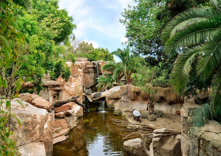 Fuengirola: Bioparc Entrance Ticket - Key Points at a Glance