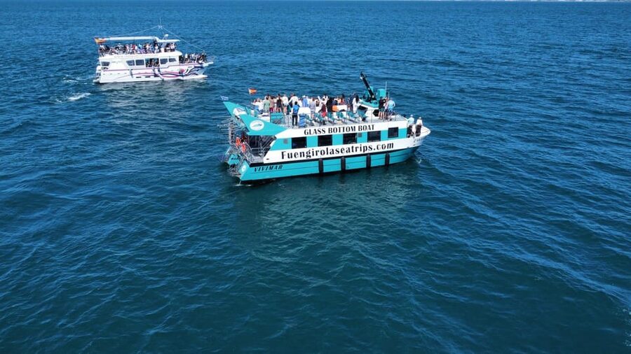 Fuengirola: Catamaran Tour to Spot Dolphins - Key points to know before you book
