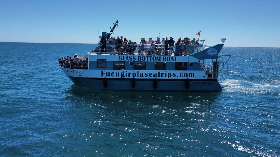 Fuengirola: Catamaran Tour to Spot Dolphins - Setting out from Fuengirola’s harbor
