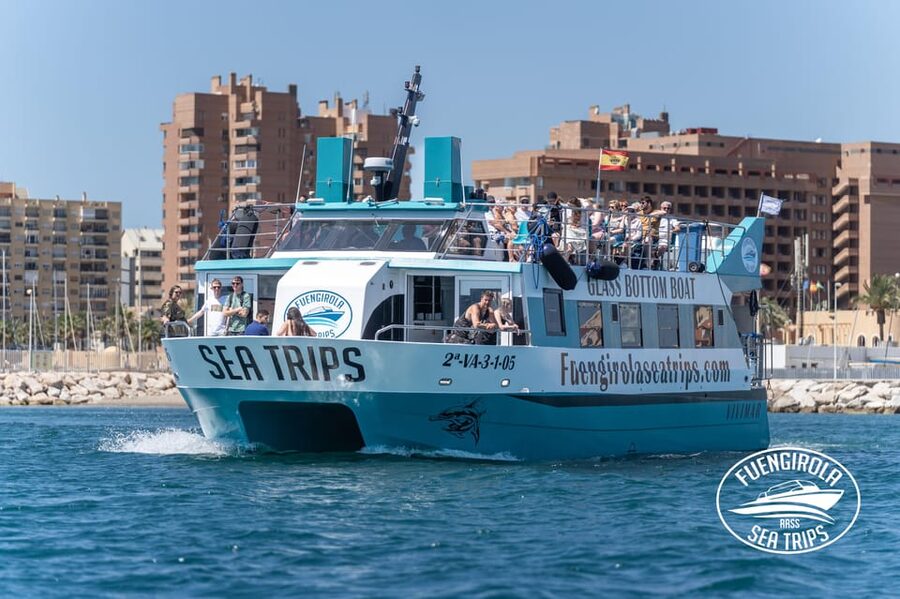 Fuengirola: Catamaran Tour to Spot Dolphins - Watching dolphins in the open sea