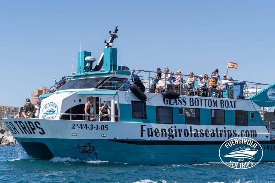 Fuengirola: Catamaran Tour to Spot Dolphins - The first hour: leaving the coast behind
