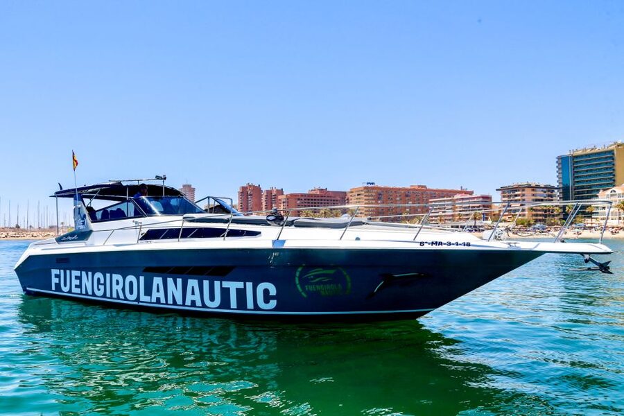 Fuengirola: Dolphin Watching by Yacht with Snacks and Drinks - What the two-hour route feels like