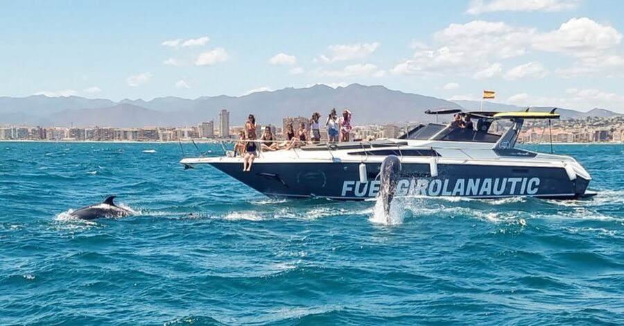 Fuengirola: Dolphin Watching by Yacht with Snacks and Drinks - The yacht, seating, and group atmosphere