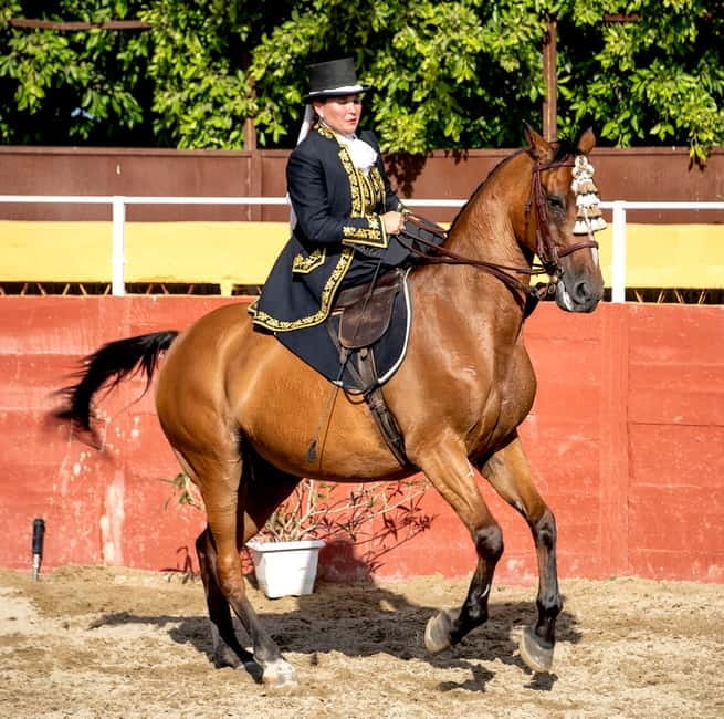 Fuengirola: Spanish Horse Show with Optional Dinner/Flamenco - Is the $40 price good value?