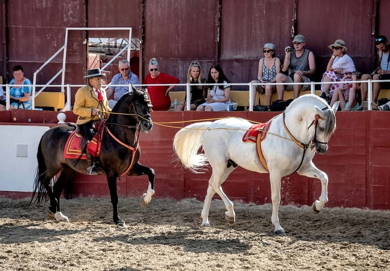 Fuengirola: Spanish Horse Show with Optional Dinner/Flamenco - Languages, age range, and atmosphere