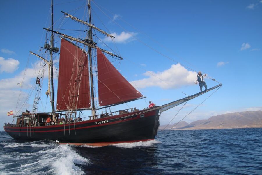 Fuerteventura: 4-Hour Pirate Sailing Adventure - Practical preparation for a smoother day