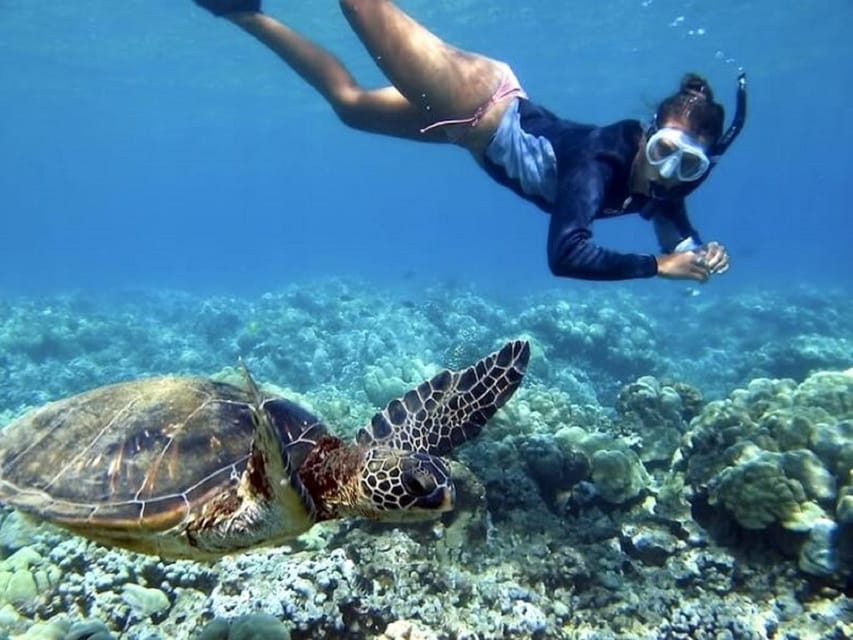 Fuerteventura : Catamaran excursion to Lobos Island - Practical tips for a smoother four hours