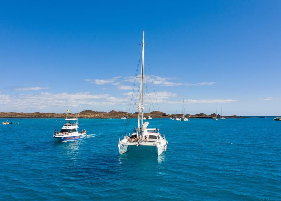 Fuerteventura : Catamaran excursion to Lobos Island - Who will enjoy this boat trip most
