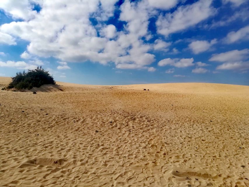 Fuerteventura: Corralejo Sand Dunes Guided Shore Excursion - What to bring for the sand and sea