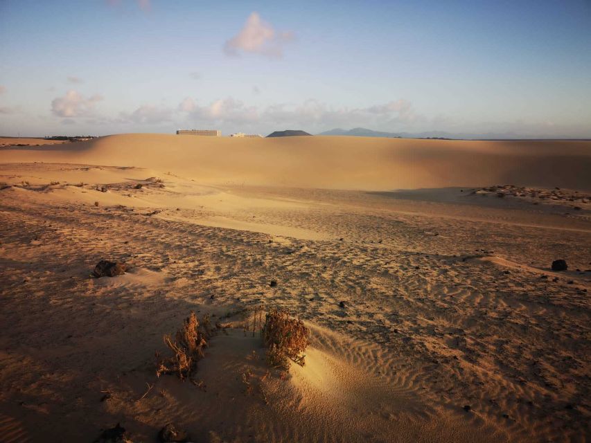 Fuerteventura: Corralejo Sand Dunes Guided Shore Excursion - Who should book this five-hour outing?
