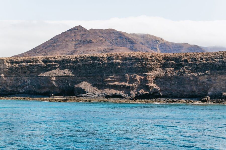 Fuerteventura: Glass Bottom Boat Cruise with Lunch & Drinks - Who should book this cruise?