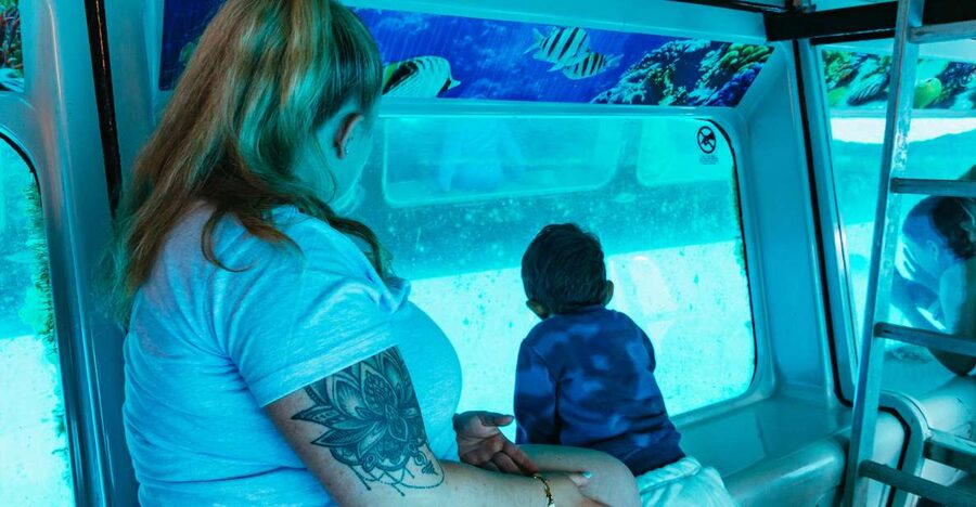Fuerteventura: Glass Bottom Boat Cruise with Lunch & Drinks - The glass-bottom viewing deck