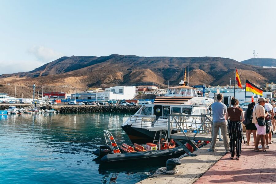 Fuerteventura: Glass Bottom Boat Cruise with Lunch & Drinks - Seeing dolphins, whales, turtles, and flying fish