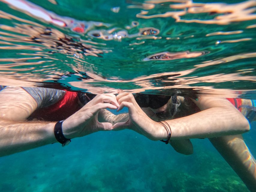 Fuerteventura: Guided Snorkeling in La Lajita with Pickup - Key things to know before you book