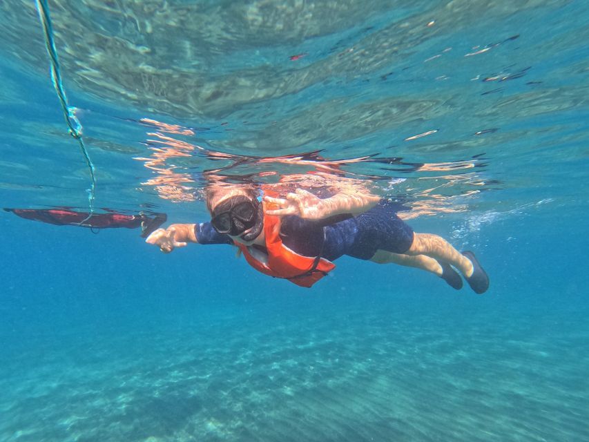 Fuerteventura: Guided Snorkeling in La Lajita with Pickup - What the 50-minute La Lajita snorkeling trip is really like