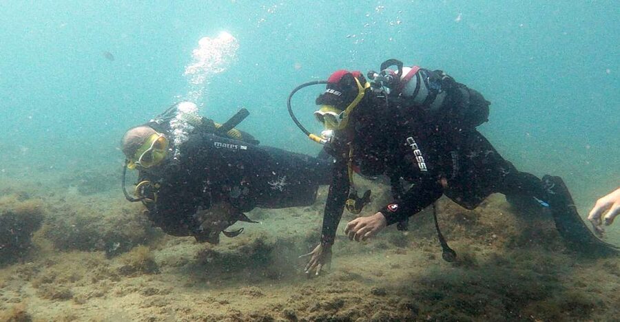 Fuerteventura: Introduction to Scuba Diving - A first look beneath Fuerteventura