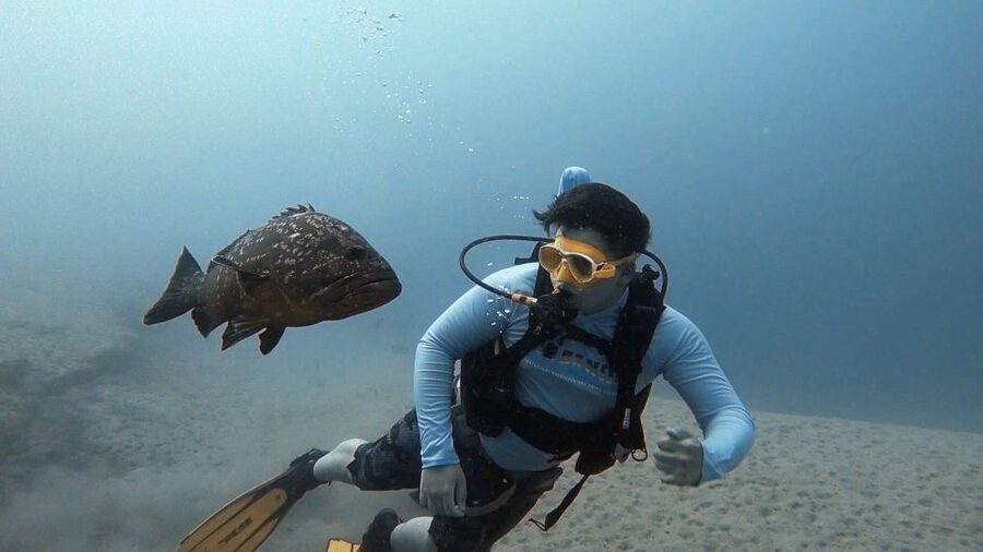 Fuerteventura: Introduction to Scuba Diving - The Costa Calma briefing before you enter the water