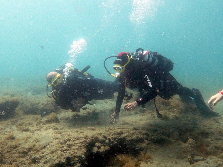 Fuerteventura: Introduction to Scuba Diving - Who can take part, and who should skip it