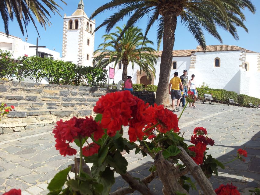 Fuerteventura: Island Tour by Minibus - Aloe vera production, with a practical look at island farming