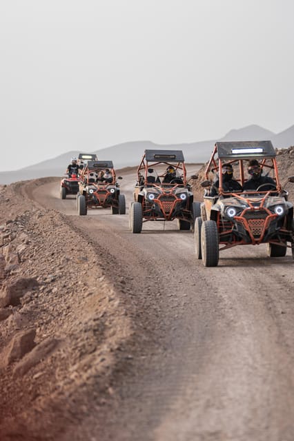 Fuerteventura: Jandía Natural Park & The Puertito Buggy Tour - Key points to know before you book