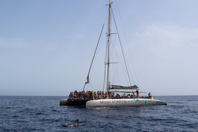 Fuerteventura: Magic Select Catamaran Trip with Food & Drinks - Practical tips for a better four hours