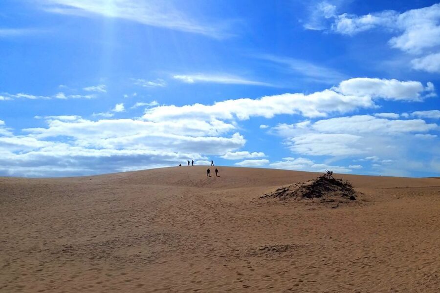 Fuerteventura: Panoramic Tour - Key points to know before booking