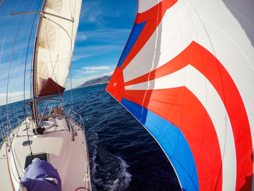 Fuerteventura: Sailing with Snorkeling and Dolphin Watching - Should you book the Flounder Yacht Sailing trip?
