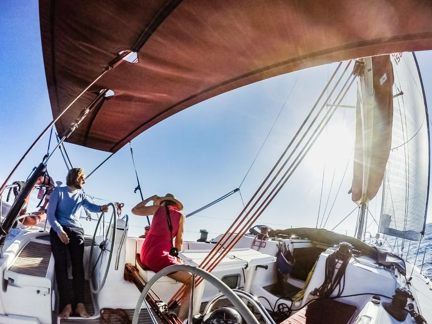Fuerteventura: Sailing with Snorkeling and Dolphin Watching - What the $104 price really buys you
