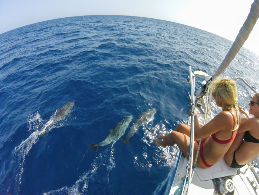 Fuerteventura: Sailing with Snorkeling and Dolphin Watching - Timing, comfort, and what to pack
