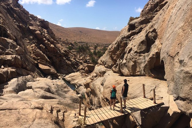 Fuerteventura South Exclusive Tour - What the private vehicle means in practice