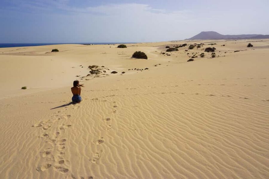 Fuerteventura: Top 5 Instagram Spots Full-Day Tour & Tapas - Who will enjoy this Fuerteventura tour
