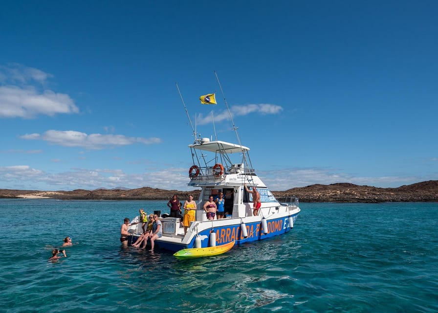 Fuerteventura: Whale & Dolphin Watching Boat Tour with Guide - Key points to know before you book