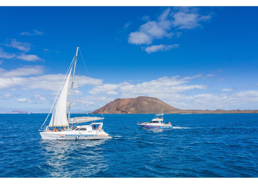 Fuerteventura: Whale & Dolphin Watching Boat Tour with Guide - Guides who make the search worthwhile