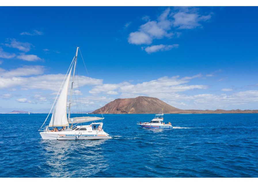 Fuerteventura: Whale & Dolphin Watching Boat Tour with Guide - Who will enjoy this trip most?