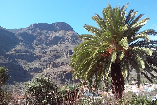 Full Day Across the Island Tour from Las Palmas - Why this tour is a smart first look at Gran Canaria