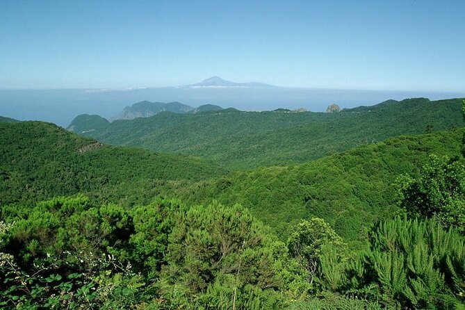 Full Day Guided Tour to La Gomera from Tenerife - What the coach ride is really like