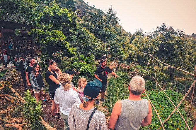 Full Day Rainforest Tour with Tasting and Swimming Time ツ - Why this day shows you a different Gran Canaria