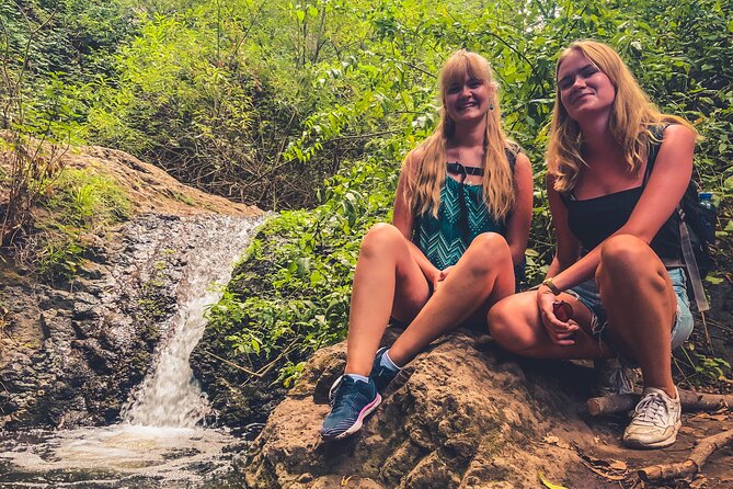Full Day Rainforest Tour with Tasting and Swimming Time ツ - Pickup, driving time, and comfort