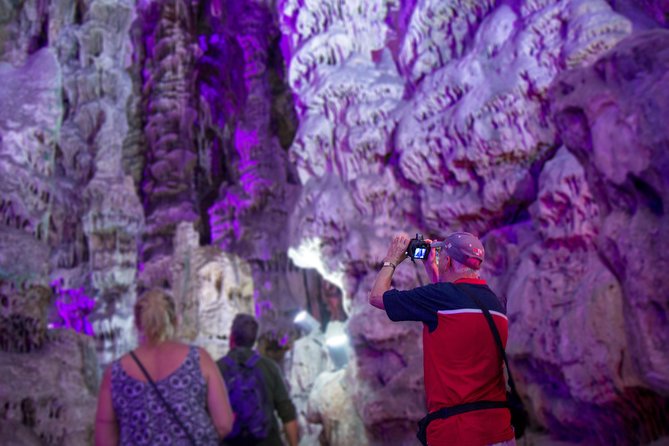 Gibraltar Rock Guided Tour - Timing, Delays, and Cruise-Day Planning