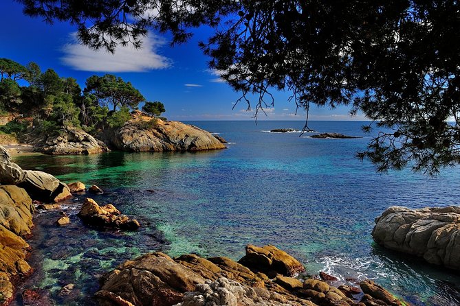 Girona & Costa Brava Private Tour and Hotel Pickup from Barcelona - Who should book this Catalonia day trip?