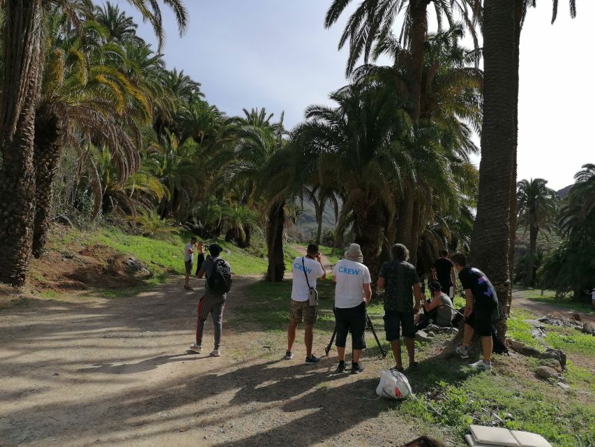 Gran Canaria: Camel Ride at Camel Safari Park - A camel ride beneath 1,000 palms