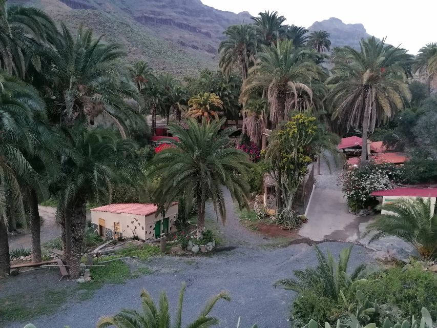 Gran Canaria: Camel Ride at Camel Safari Park - Who will enjoy this park most?