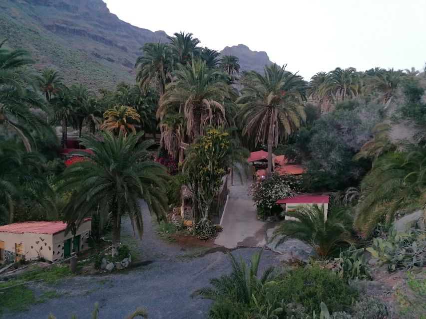 Gran Canaria: Camel Ride at Camel Safari Park - The 30-minute camel route