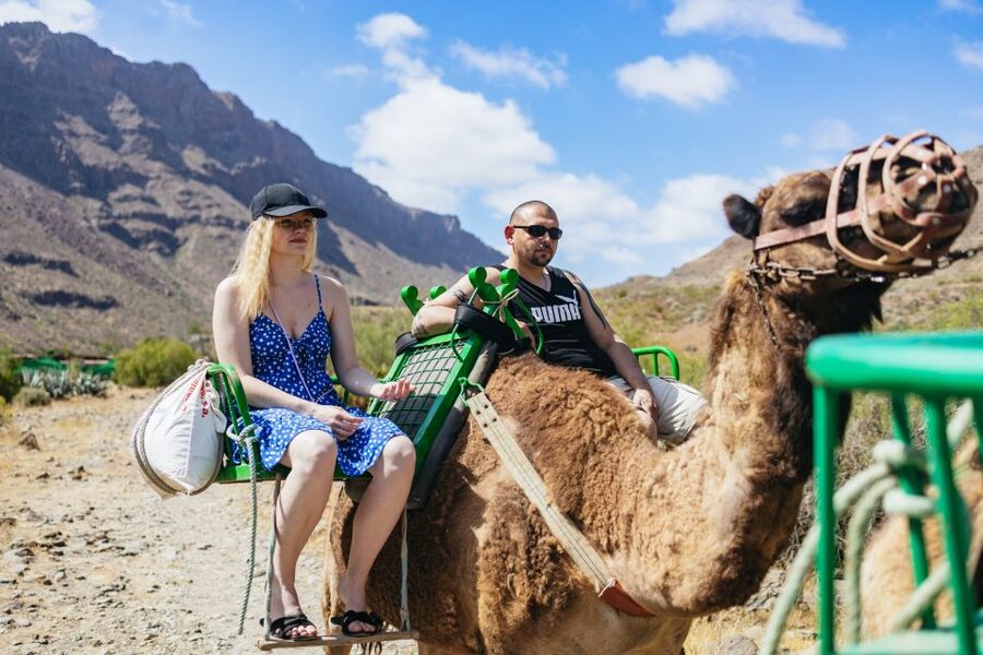 Gran Canaria: Camel Ride Safari w/ Optional Food & Transport - Key points to know before booking