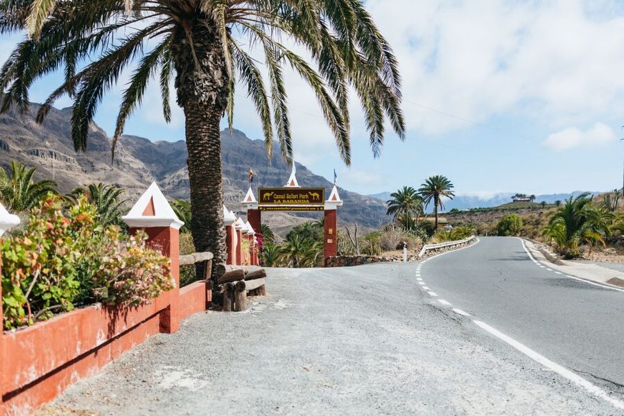 Gran Canaria: Camel Ride Safari w/ Optional Food & Transport - Practical preparation for a comfortable ride