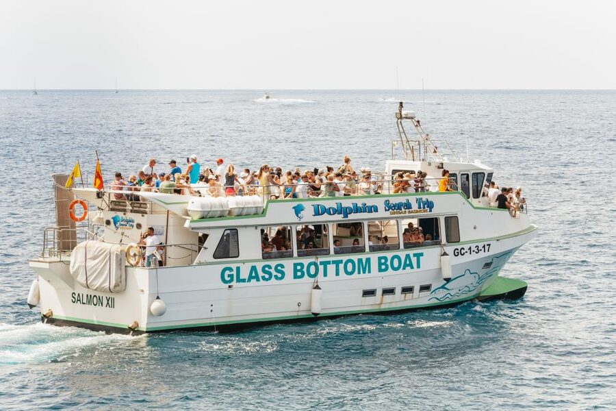 Gran Canaria: Dolphin and Whale Watching Cruise - Comfort, seating, and the open sea